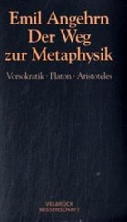 Emil Angehrn: Der Weg zur Metaphysik - Studienausgabe 