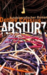 Detlev Crusius: Absturz 