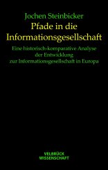 Jochen Steinbicker: Pfade in die Informationsgesellschaft 